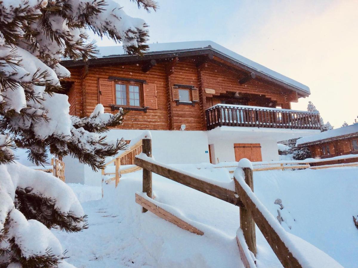 فيلا Bolquere Pyrenees 2000في Ei Chalet Du Pere Castor المظهر الخارجي الصورة